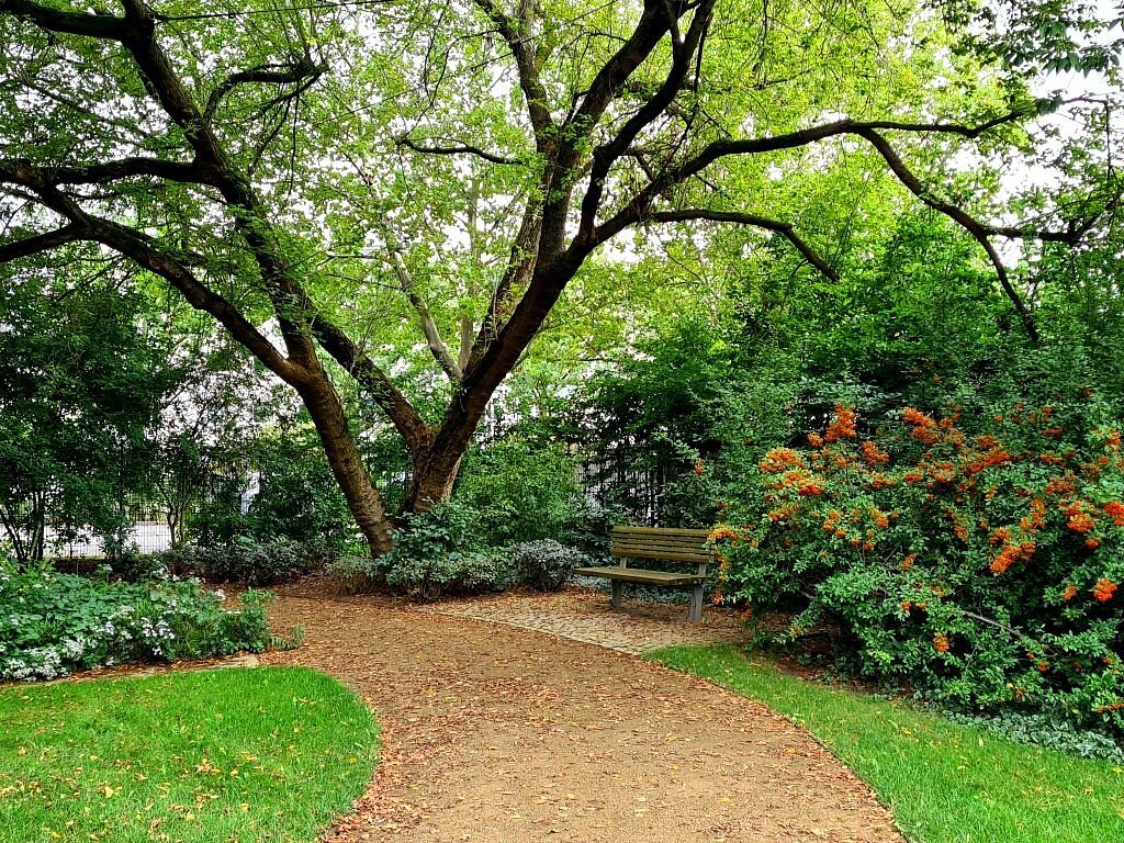 ინგლისური ბაღი