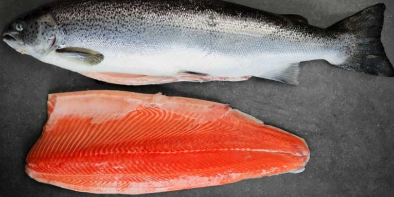 ორაგული